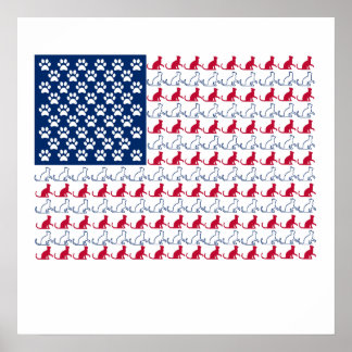 Póster Sinalizador de Cat