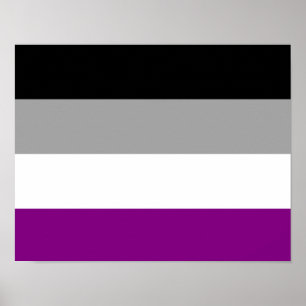 Poster Sinalizador de Orgulho Asexual