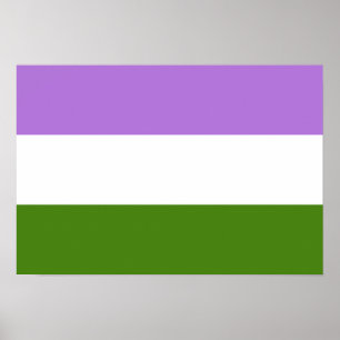 Poster Sinalizador de orgulho do Genderqueer