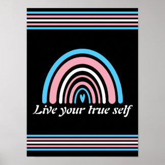 Poster Sinalizador de Transgênero LGBTQ: viva seu verdade