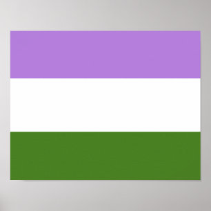 Poster Sinalizador do Orgulho do Genderqueer