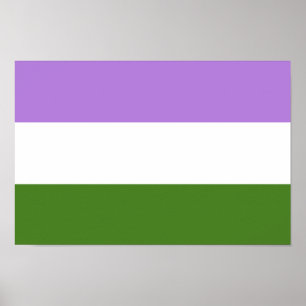 Póster Sinalizador do Orgulho do Genderqueer