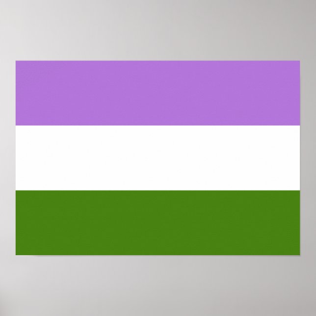 Poster Sinalizador do Orgulho do Genderqueer (Frente)