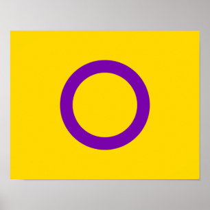 Poster Sinalizador do Orgulho Intersexual