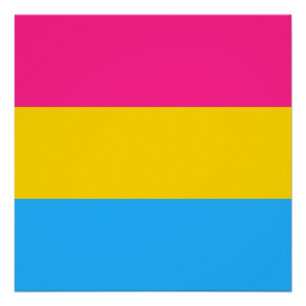 Póster Sinalizador do Orgulho Pansexual LGBTQ