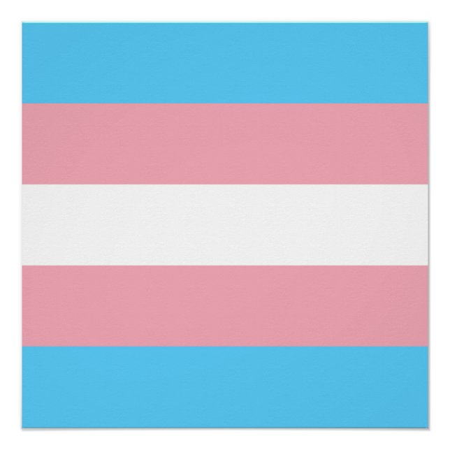 Póster Sinalizador do Orgulho Transgênero (Frente)