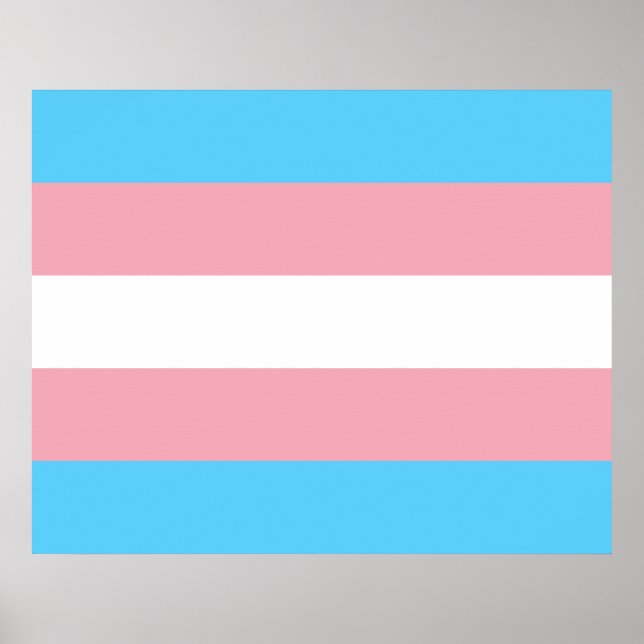 Poster Sinalizador Trans Pride (Orgulho Transgênero) (Frente)