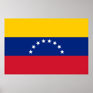 Poster Sinalizador venezuelano