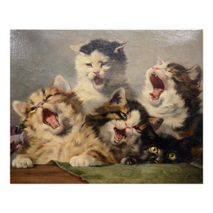 Póster Sinfonia de Gatinhos por Julius Adam II