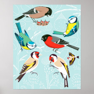 Poster Singing Birds