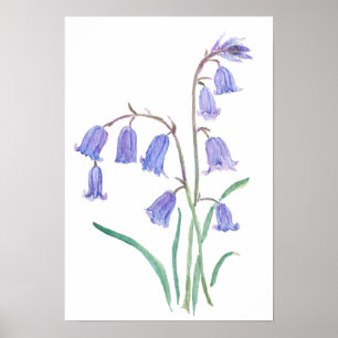 Poster sinos azuis flores aquarela flores