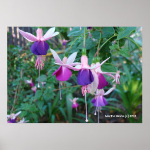 Póster Sinos De Três Cores