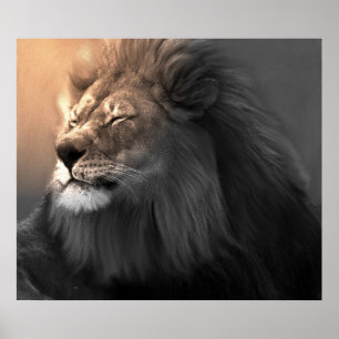 Póster Sinta A Luz Branca