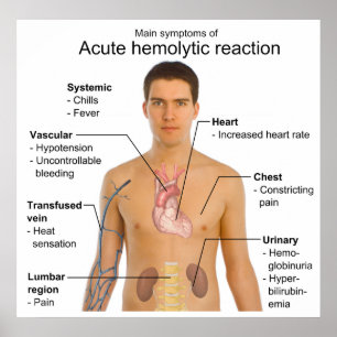 Poster Sintomas da reação Hemolytic aguda da transfusã