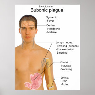 Póster Sintomas principais da carta do praga bubónico de