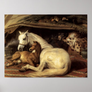 Poster Sir Edwin Henry Landseer | A tenda árabe