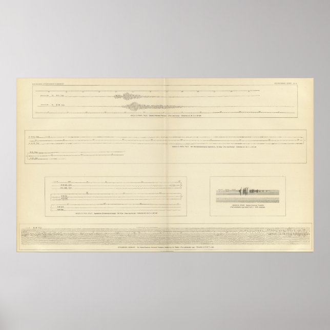 Póster Sismogramas da Califórnia 14 (Frente)