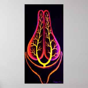 Poster Sistema excretor de um peixe