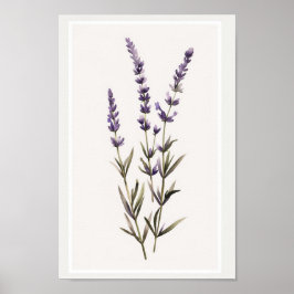 Poster Sistema Mínimo de Flor de Lavanda de Aquarela