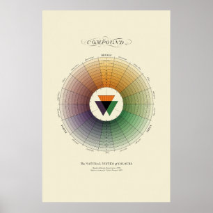 Poster Sistema Natural de Cores - Composto - Luz