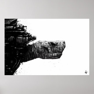 Póster SIT "Turtle"