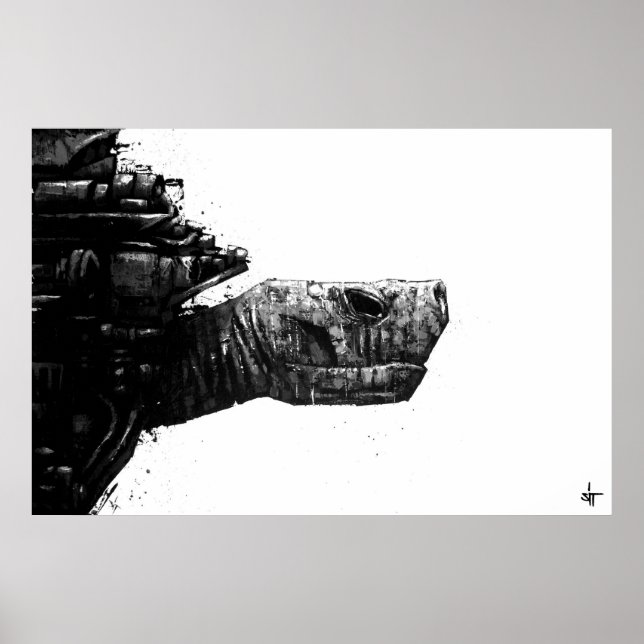 Póster SIT "Turtle" (Frente)