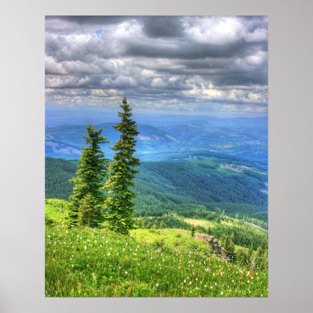 Póster Siverstar Hdr (Frente)