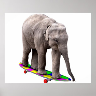 Poster Skateboarding elephant