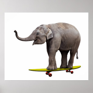 Poster Skateboarding elephant