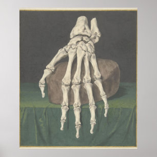 Poster Skelet van een hand por Jan l Admiral