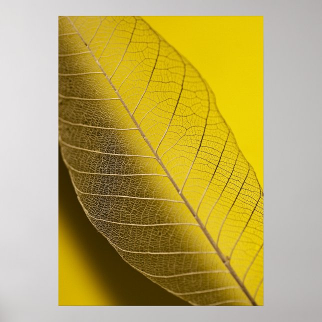 Póster Skeleton Leaf Amarelo (Frente)