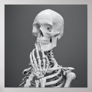 Poster Skeleton Skull Halloween Cinza Preta e Branca