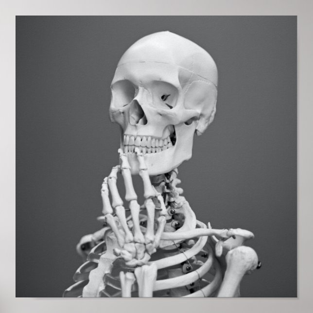 Poster Skeleton Skull Halloween Cinza Preta e Branca (Frente)