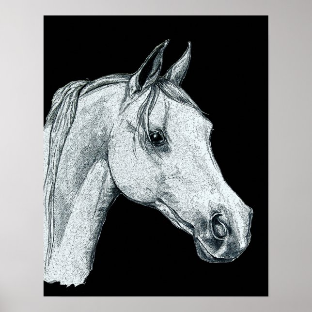Poster Sketch de Tinta do Cavalo Árabe (Frente)