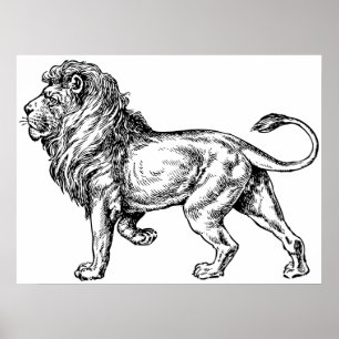 Póster Sketch do Leão Mpotente