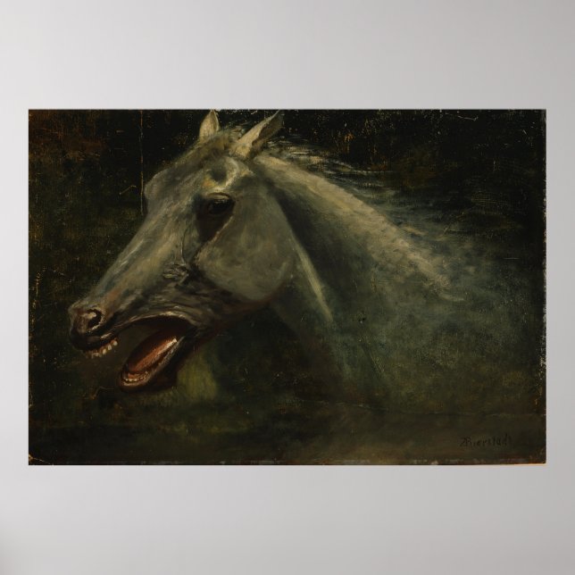 Poster Sketch Original para "O Último de Buffalo (Frente)