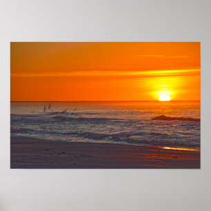 Poster Skimmers Voando em Sunrise, Flórida Beach