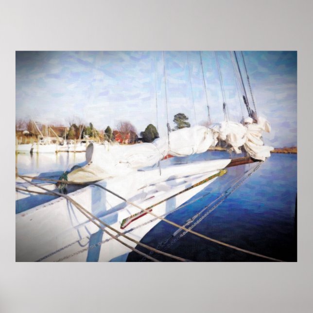 Poster Skipjack de Trabalho (Frente)