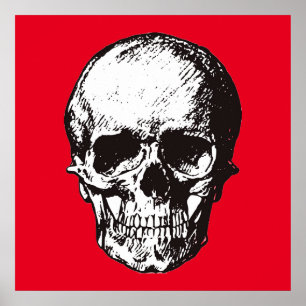 Poster Skull Fantasy Art Rock Punk Heavy Metal