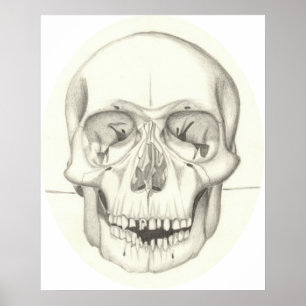Póster Skull print