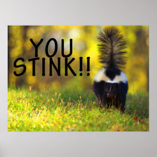 Poster Skunk Você Pica