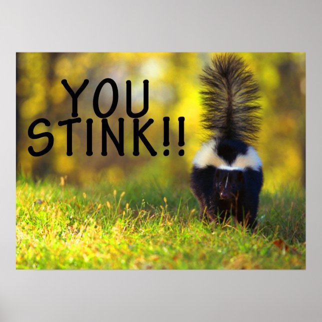 Poster Skunk Você Pica (Frente)