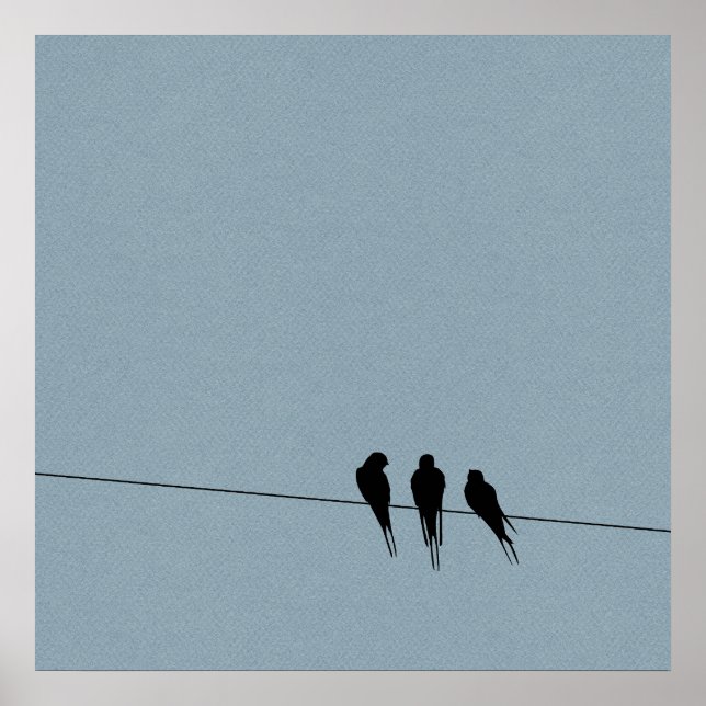 Póster Sky Blackbird Silhouette no Fio (Frente)