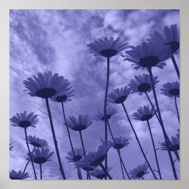 Poster Sky Gazers (Frente)