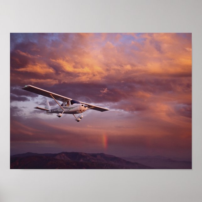 Póster Skyfire Skycatcher (Frente)