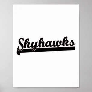 Poster Skyhawks Lacrosse Voleibol Skydiving Basquete