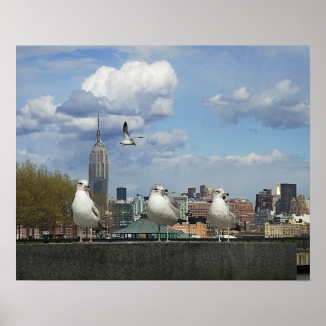 Póster Skyline de Nova York com Seagulls (Frente)