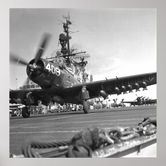 Póster Skyraider (Frente)