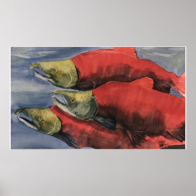 Póster Slamon' Salmon! (Frente)