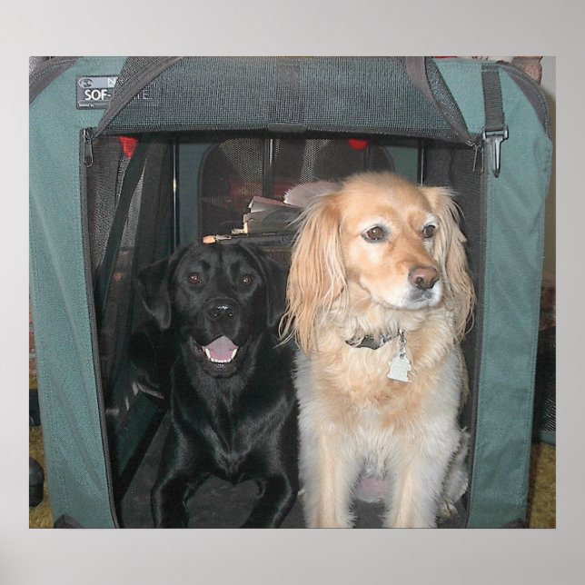 Póster Slate e Sasha (Frente)